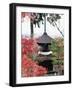 Autumn Maple Leaves at 16th Century Jojakko Ji Temple, Arashiyama Sagano Area, Kyoto, Japan-Christian Kober-Framed Photographic Print