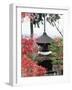 Autumn Maple Leaves at 16th Century Jojakko Ji Temple, Arashiyama Sagano Area, Kyoto, Japan-Christian Kober-Framed Photographic Print