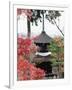 Autumn Maple Leaves at 16th Century Jojakko Ji Temple, Arashiyama Sagano Area, Kyoto, Japan-Christian Kober-Framed Photographic Print