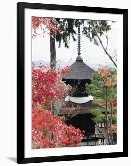 Autumn Maple Leaves at 16th Century Jojakko Ji Temple, Arashiyama Sagano Area, Kyoto, Japan-Christian Kober-Framed Photographic Print