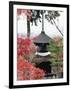 Autumn Maple Leaves at 16th Century Jojakko Ji Temple, Arashiyama Sagano Area, Kyoto, Japan-Christian Kober-Framed Photographic Print