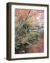 Autumn Maple Leaves at 16th Century Jojakko Ji Temple, Arashiyama Sagano Area, Kyoto, Japan-Christian Kober-Framed Photographic Print