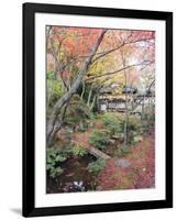 Autumn Maple Leaves at 16th Century Jojakko Ji Temple, Arashiyama Sagano Area, Kyoto, Japan-Christian Kober-Framed Photographic Print