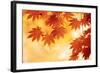 Autumn Maple Leaves Background-Sofiaworld-Framed Photographic Print