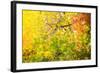 Autumn Maple Trees Background-Voy-Framed Photographic Print
