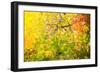 Autumn Maple Trees Background-Voy-Framed Photographic Print