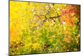 Autumn Maple Trees Background-Voy-Mounted Photographic Print