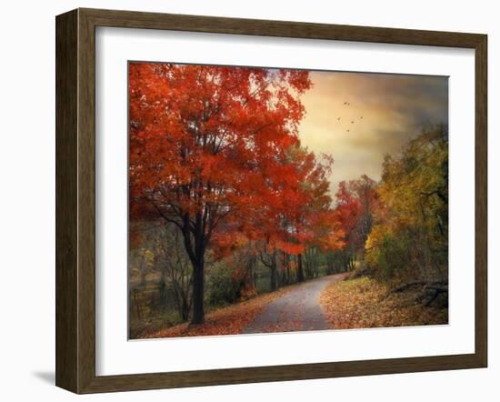 Autumn Maples-Jessica Jenney-Framed Giclee Print