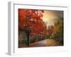 Autumn Maples-Jessica Jenney-Framed Giclee Print