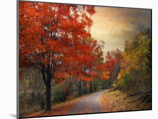 Autumn Maples-Jessica Jenney-Mounted Giclee Print