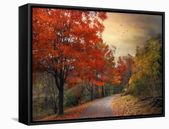 Autumn Maples-Jessica Jenney-Framed Stretched Canvas