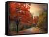 Autumn Maples-Jessica Jenney-Framed Stretched Canvas