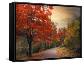 Autumn Maples-Jessica Jenney-Framed Stretched Canvas