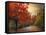 Autumn Maples-Jessica Jenney-Framed Stretched Canvas