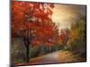 Autumn Maples-Jessica Jenney-Mounted Premium Giclee Print