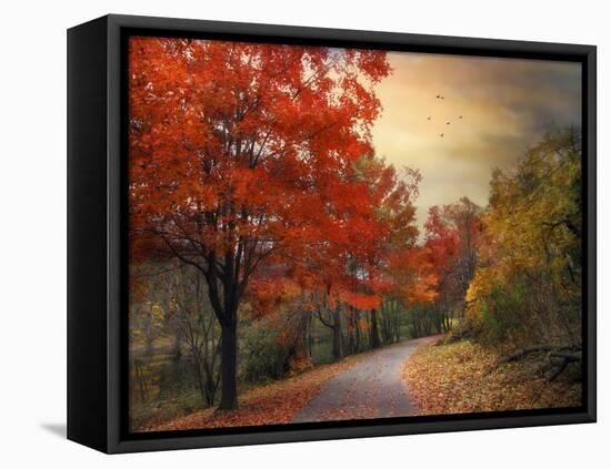 Autumn Maples-Jessica Jenney-Framed Stretched Canvas