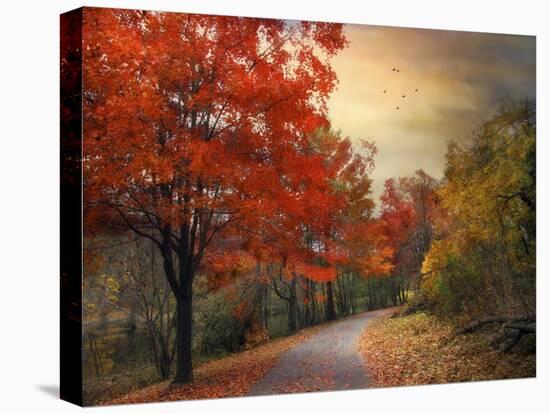 Autumn Maples-Jessica Jenney-Stretched Canvas