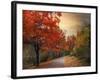 Autumn Maples-Jessica Jenney-Framed Giclee Print