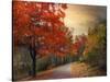 Autumn Maples-Jessica Jenney-Stretched Canvas