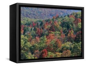 Autumn, Mark Twain National Forest, Missouri, USA-Charles Gurche-Framed Stretched Canvas