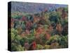 Autumn, Mark Twain National Forest, Missouri, USA-Charles Gurche-Stretched Canvas
