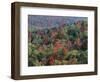 Autumn, Mark Twain National Forest, Missouri, USA-Charles Gurche-Framed Photographic Print