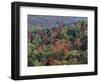 Autumn, Mark Twain National Forest, Missouri, USA-Charles Gurche-Framed Photographic Print