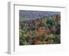 Autumn, Mark Twain National Forest, Missouri, USA-Charles Gurche-Framed Photographic Print