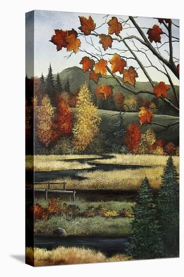 Autumn Marsh-Debbi Wetzel-Stretched Canvas