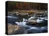 Autumn, Maury River, Virginia, USA-Charles Gurche-Stretched Canvas