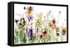 Autumn Meadow Flowers-Katrina Pete-Framed Stretched Canvas