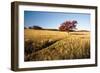 Autumn Meadow I-Alan Hausenflock-Framed Photographic Print