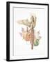 Autumn Medley-Deborah Kopka-Framed Giclee Print