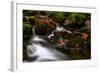 Autumn Melodies-Yavuz Pancareken-Framed Photographic Print