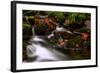 Autumn Melodies-Yavuz Pancareken-Framed Photographic Print