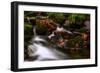 Autumn Melodies-Yavuz Pancareken-Framed Photographic Print