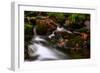 Autumn Melodies-Yavuz Pancareken-Framed Photographic Print