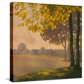 Autumn Memories I-Graham Reynolds-Stretched Canvas