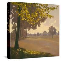 Autumn Memories II-Graham Reynolds-Stretched Canvas