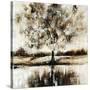 Autumn Memories-Joshua Schicker-Stretched Canvas