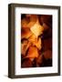 Autumn Message-Philippe Sainte-Laudy-Framed Photographic Print