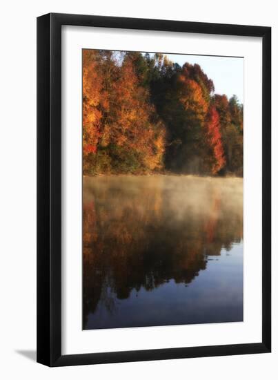 Autumn Mist I-Alan Hausenflock-Framed Photographic Print