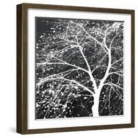 Autumn Mist II-Linda Wood-Framed Giclee Print