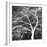 Autumn Mist II-Linda Wood-Framed Giclee Print