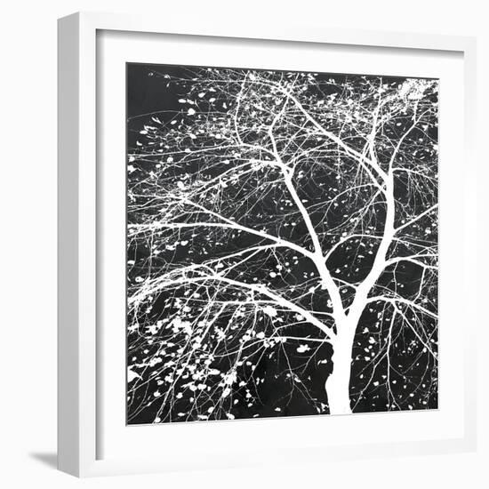 Autumn Mist II-Linda Wood-Framed Giclee Print