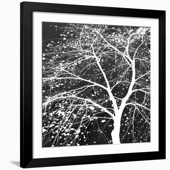 Autumn Mist II-Linda Wood-Framed Giclee Print