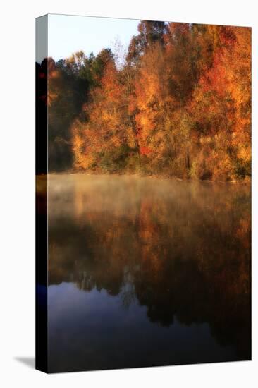 Autumn Mist II-Alan Hausenflock-Stretched Canvas