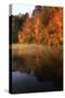Autumn Mist II-Alan Hausenflock-Stretched Canvas