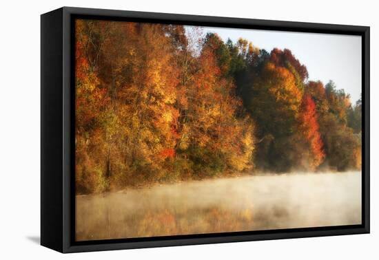 Autumn Mist III-Alan Hausenflock-Framed Stretched Canvas