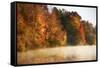 Autumn Mist III-Alan Hausenflock-Framed Stretched Canvas